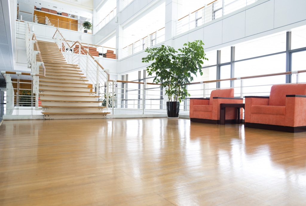 A large room with stairs and plants in it