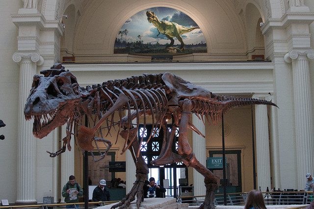 T-Rex-Sue-The-Field-Museum-of-Natural-History-Chicago